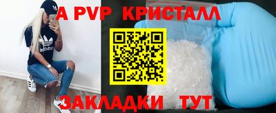 стафф Берёзовский