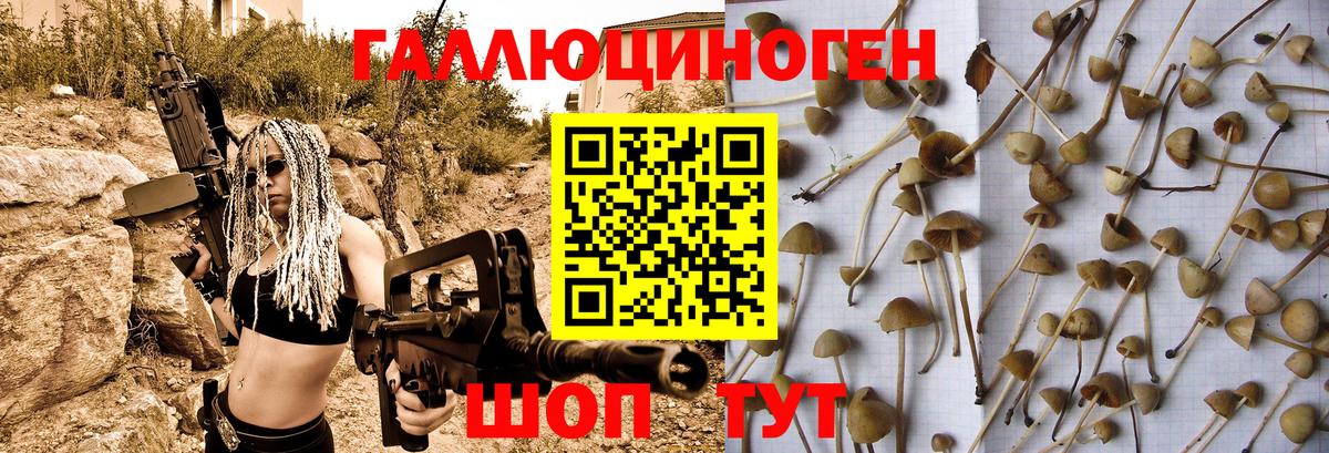 Галлюциногенные грибы мицелий Верхний Уфалей